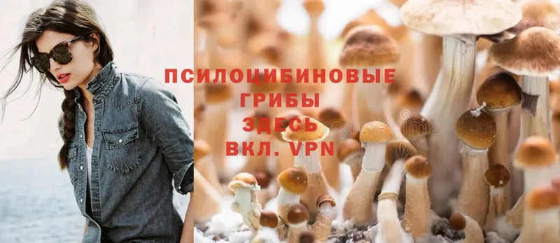 Галлюциногенные грибы MAGIC MUSHROOMS  Кущёвская 